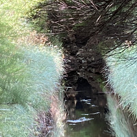 fred1900 - homme bisexuel de 60 ans