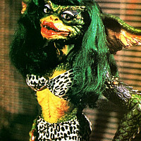 phelicie - homme bisexuel de 54 ans