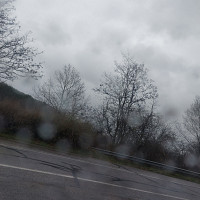 minibee - lesbienne de 44 ans