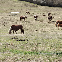 alain3131 - gay de 61 ans