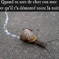 pasbeau - homme bisexuel de 66 ans