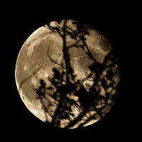 louke - gay de 51 ans