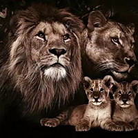 elena32 - lesbienne de 32 ans