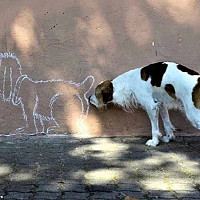 athabasca - homme bisexuel de 64 ans