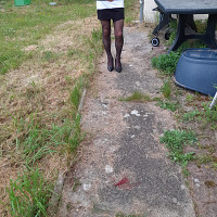 stephanie41 - homme bisexuel de 61 ans