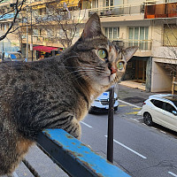 kikou_777 - gay de 48 ans