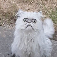 cocolecoco - homme bisexuel de 25 ans