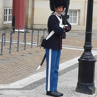 sdoc91 - homme bisexuel de 53 ans