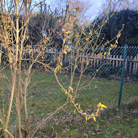 bonminet - homme bisexuel de 62 ans