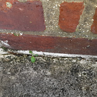 fifimec62 - gay de 59 ans