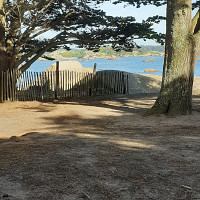 bourricot - homme bisexuel de 71 ans