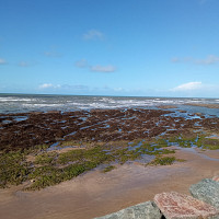 pat53 - gay de 47 ans