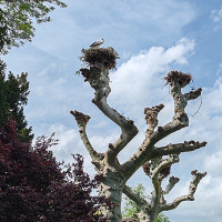 fabien1984 - homme bisexuel de 46 ans