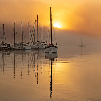 patrick1961 - homme bisexuel de 64 ans