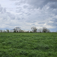 niko_w - gay de 46 ans