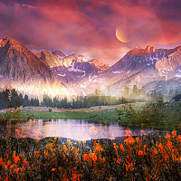 discuter6262 - gay de 29 ans