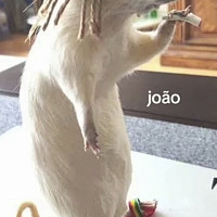 achaa7 - homme bisexuel de 19 ans