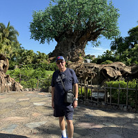 simon39 - homme bisexuel de 40 ans