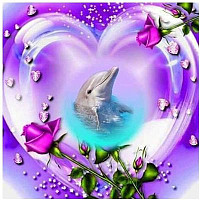 dolphino - gay de 58 ans