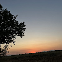 re83 - homme bisexuel de 21 ans