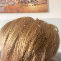 kyllian_w08764 - homme bisexuel de 21 ans