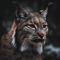 metrocool974 - homme bisexuel de 38 ans