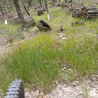 paul1234 - homme bisexuel de 61 ans