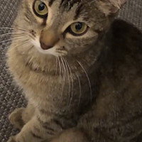 mohadesbleus - gay de 24 ans