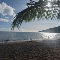 jhmad326 - homme bisexuel de 22 ans