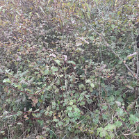 rebeu696938 - homme bisexuel de 34 ans