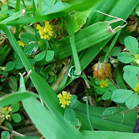 damien6440 - homme bisexuel de 51 ans