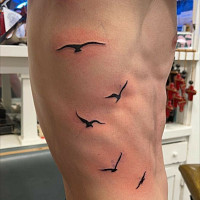 bg-recois - homme bisexuel de 22 ans