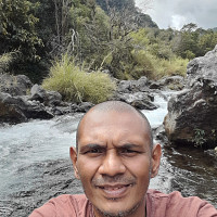 neere33 - homme bisexuel de 41 ans