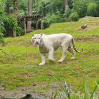 essainouveau - homme bisexuel de 43 ans