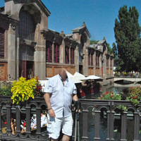 toni1960 - homme bisexuel de 66 ans