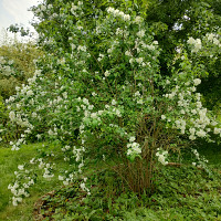 denis5963 - homme bisexuel de 66 ans