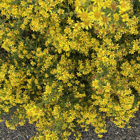 simplemec - gay de 46 ans