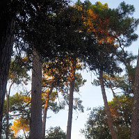 enba - homme bisexuel de 60 ans