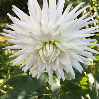 hope77 - gay de 50 ans