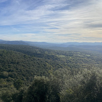 plume84 - lesbienne de 62 ans