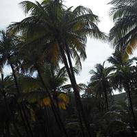 clad07 - gay de 41 ans