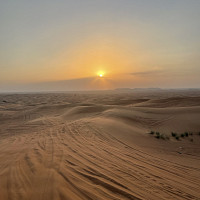 jacobin - homme bisexuel de 46 ans