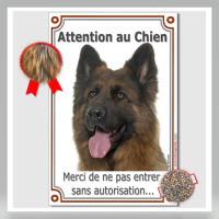 pascal52100 - homme bisexuel de 55 ans