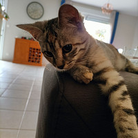 mecpoitiers - gay de 60 ans