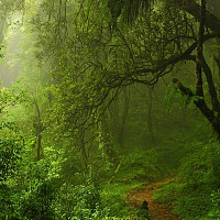 ju40 - gay de 43 ans