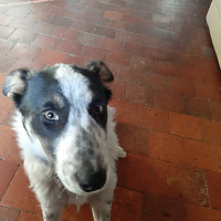 michel45340 - gay de 62 ans