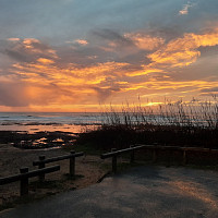 scalou85 - homme bisexuel de 66 ans