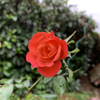 michel71100 - homme bisexuel de 71 ans