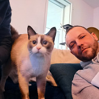 juju34000 - homme hétéro curieux de 38 ans