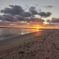 hermannii - gay de 66 ans